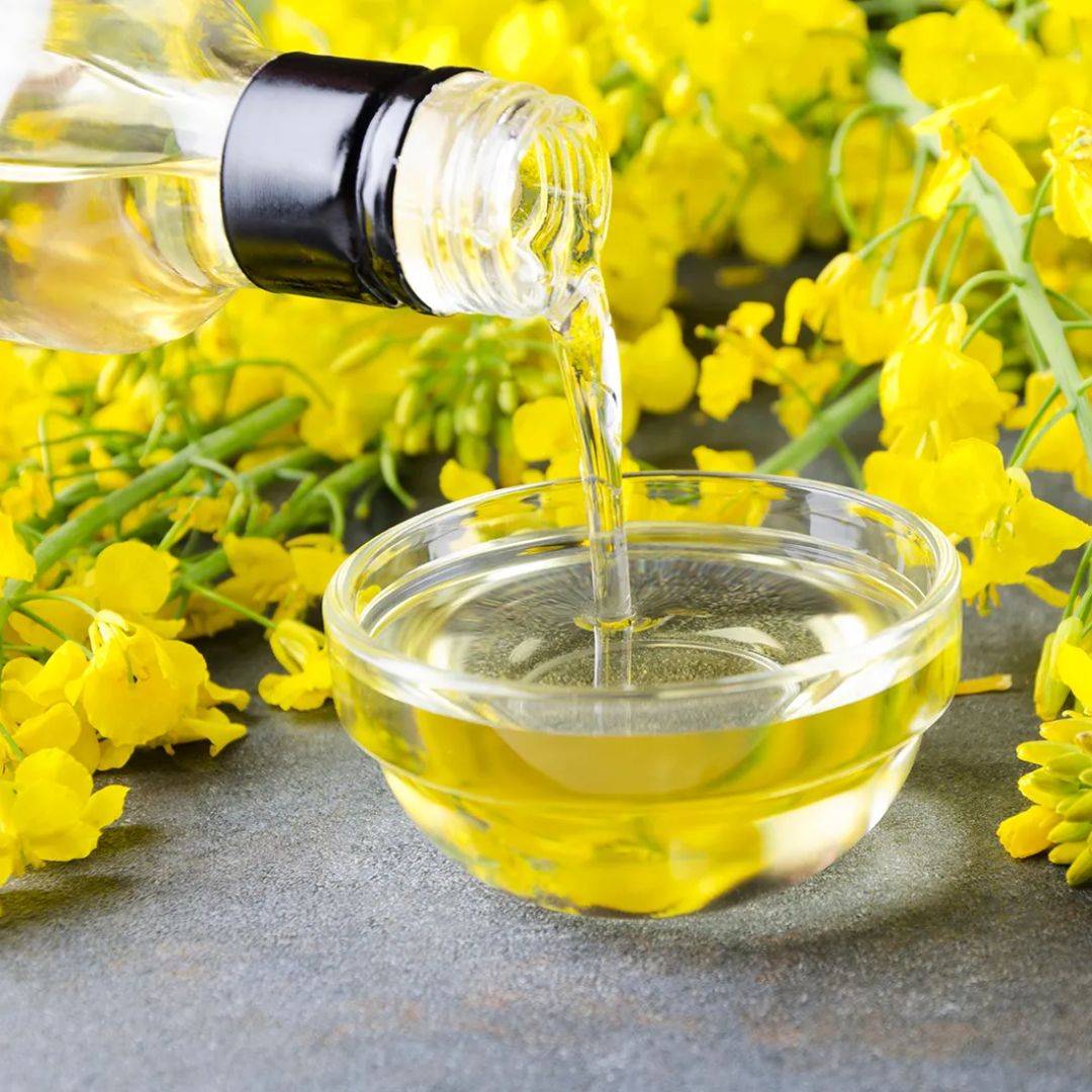 Canola Oil